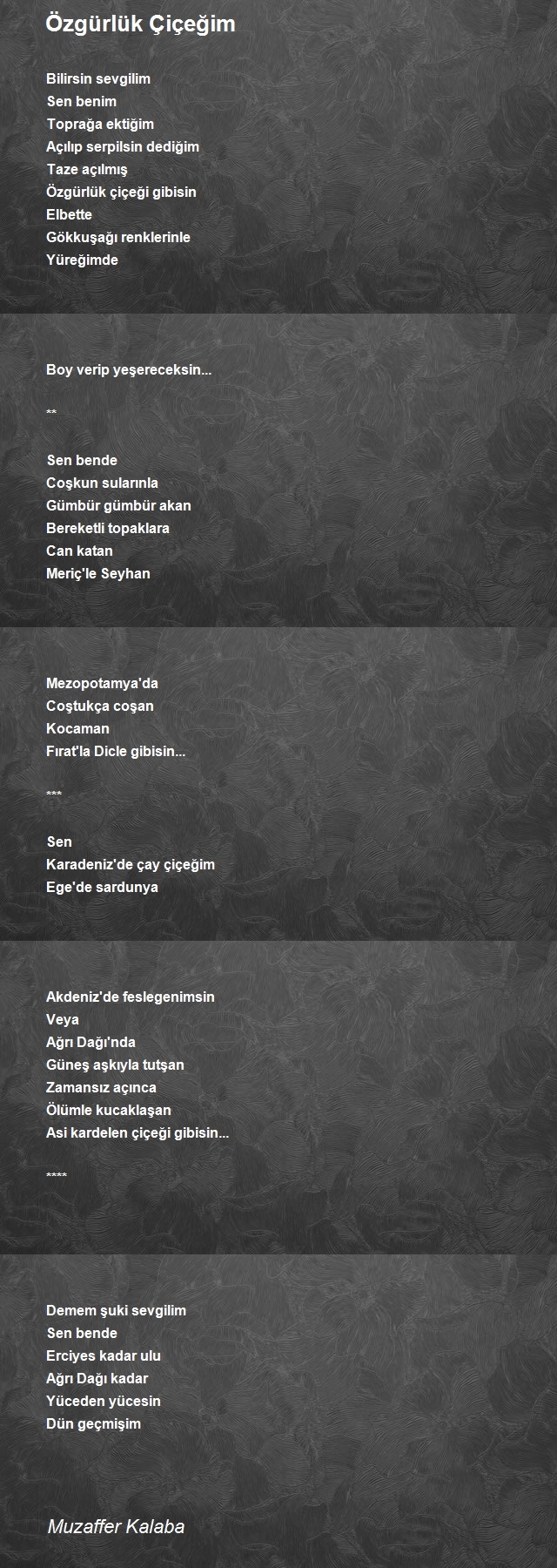 Muzaffer Kalaba