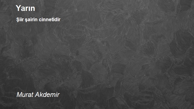 Murat Akdemir