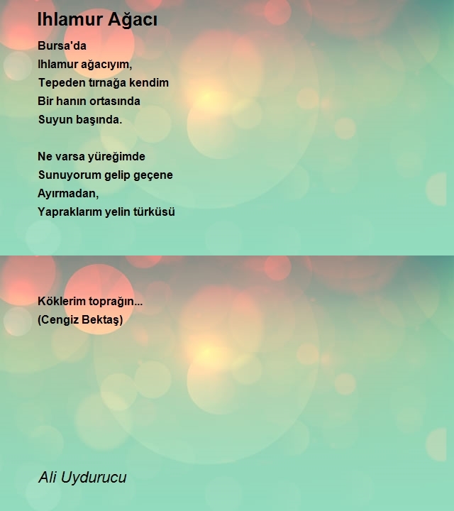 Ali Uydurucu