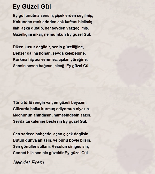 Necdet Erem