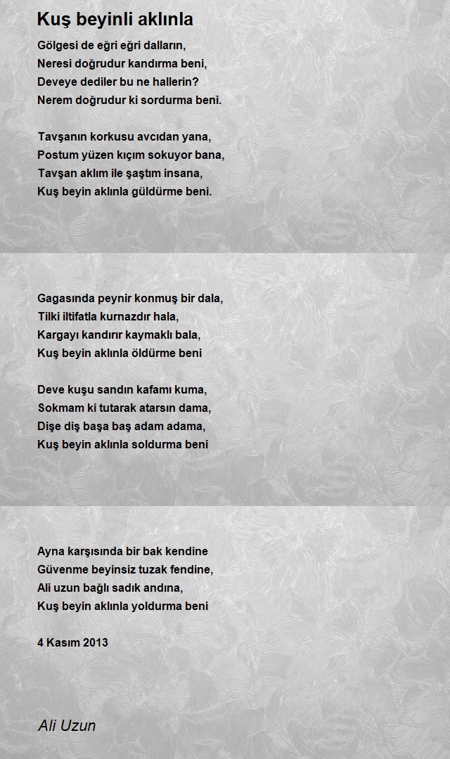 Ali Uzun