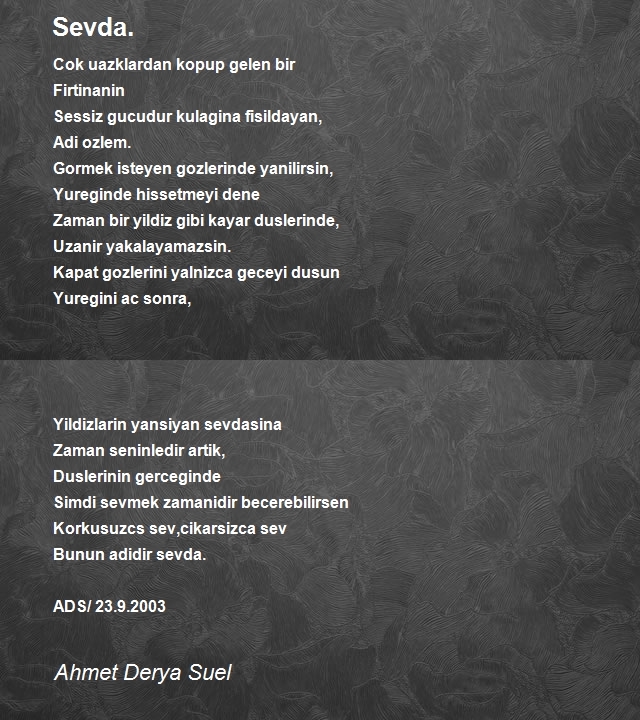 Ahmet Derya Suel