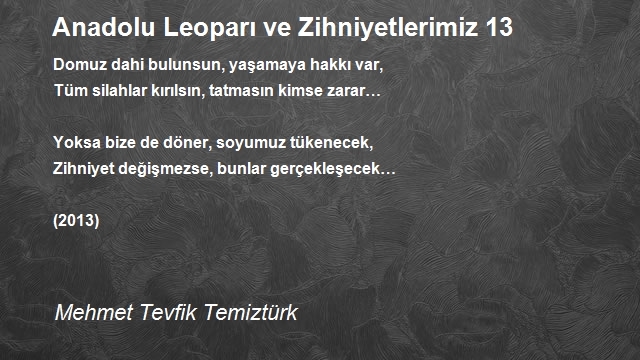 Mehmet Tevfik Temiztürk