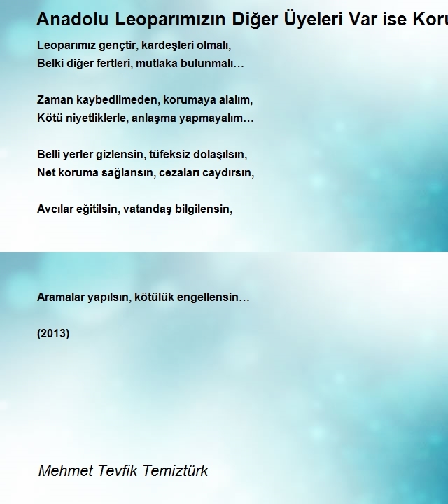 Mehmet Tevfik Temiztürk