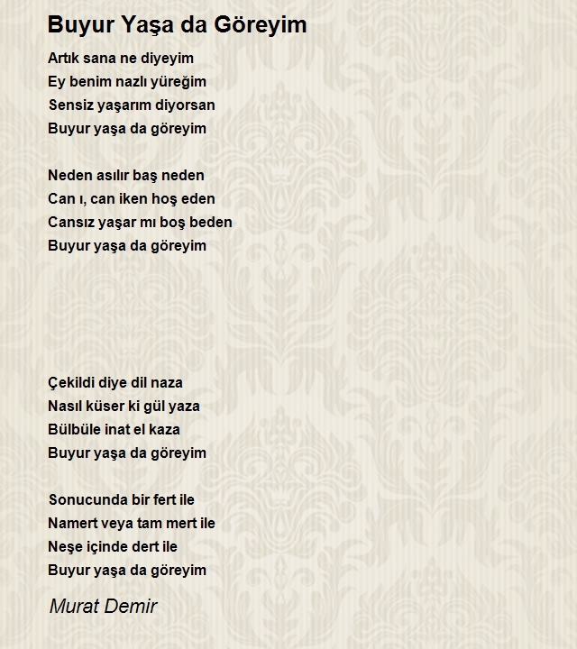 Murat Demir