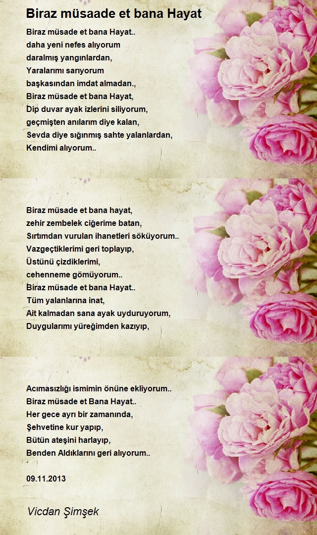 Vicdan Şimşek
