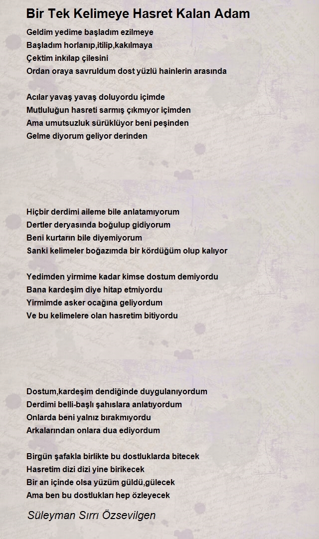 Süleyman Sırrı Özsevilgen