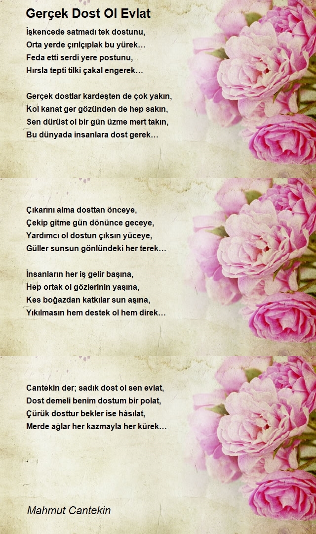 Mahmut Cantekin