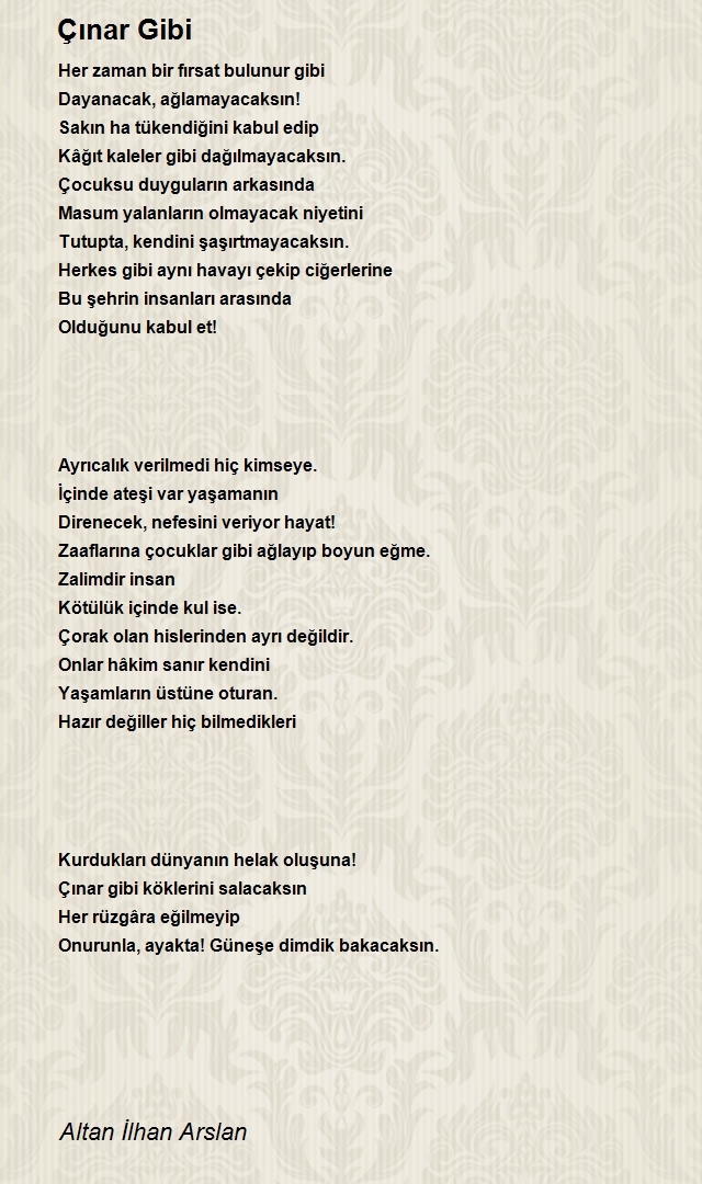 Altan İlhan Arslan