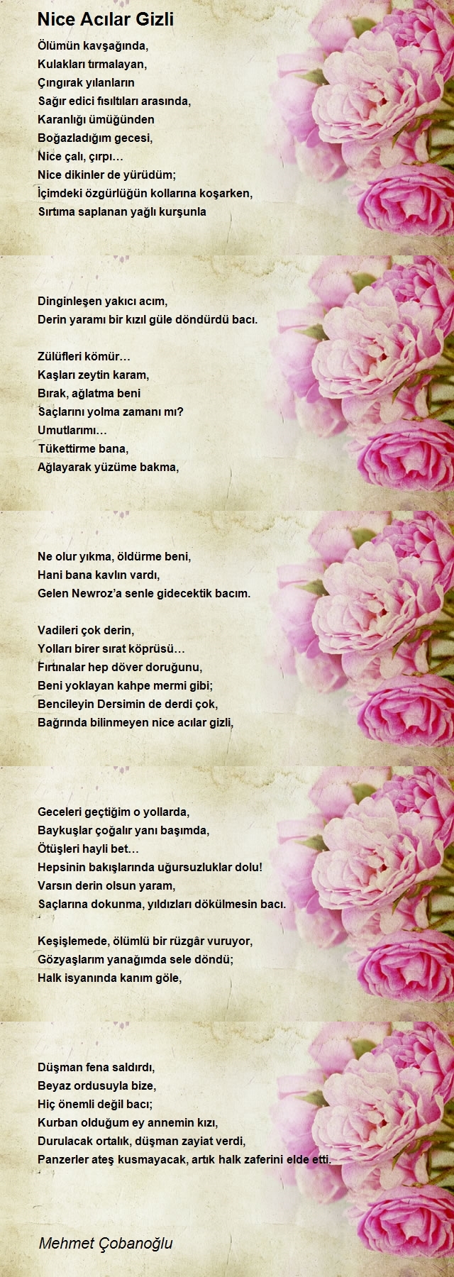 Mehmet Çobanoğlu