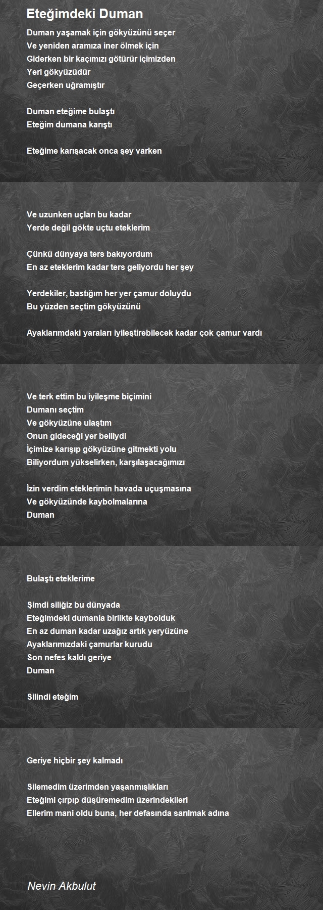 Nevin Akbulut