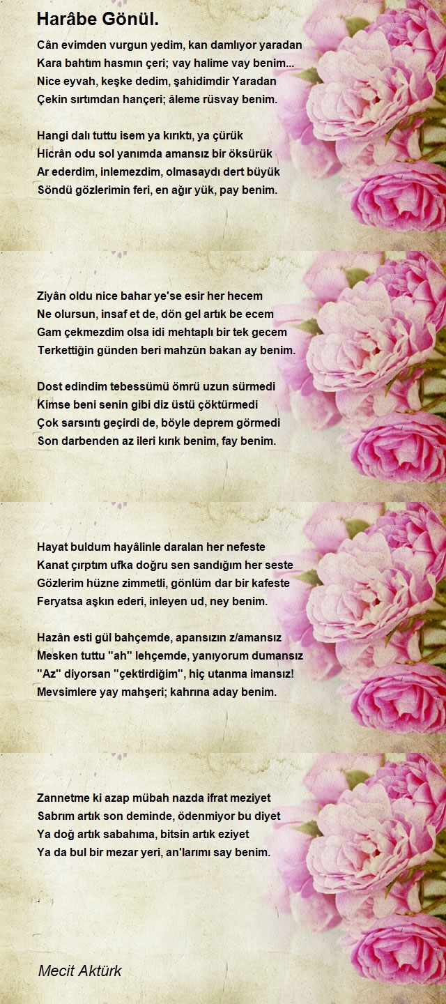 Mecit Aktürk