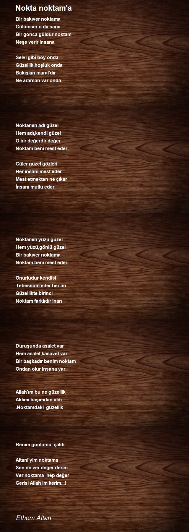 Ethem Altan