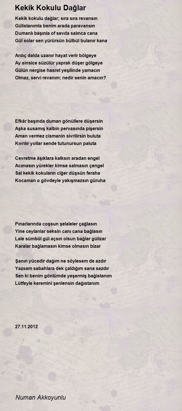 Numan Akkoyunlu