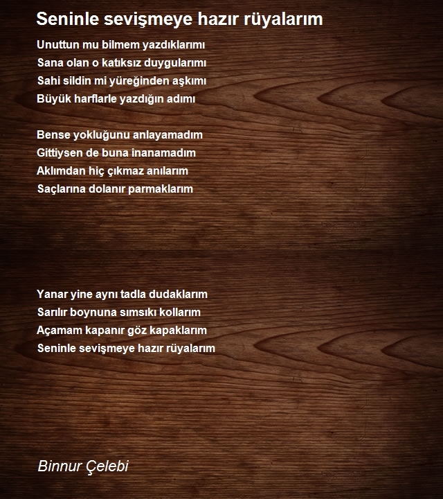 Binnur Çelebi