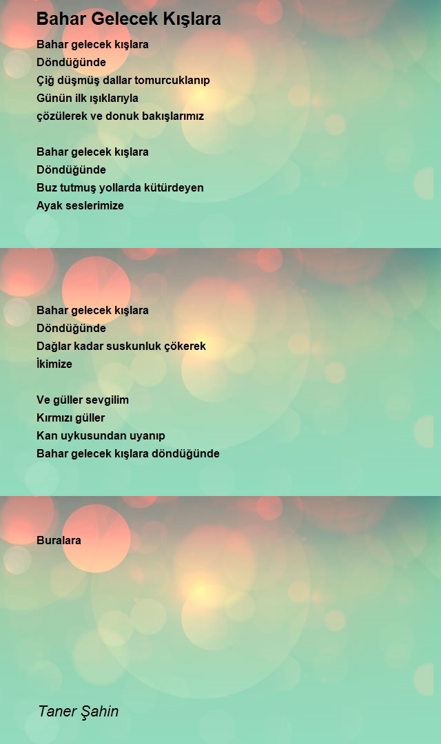 Taner Şahin