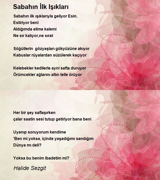 Halide Sezgit