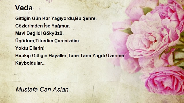 Mustafa Can Aslan
