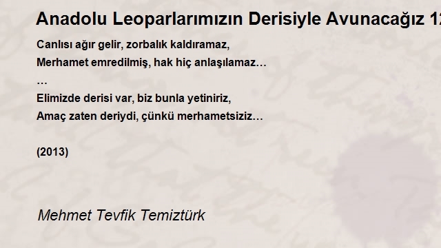 Mehmet Tevfik Temiztürk