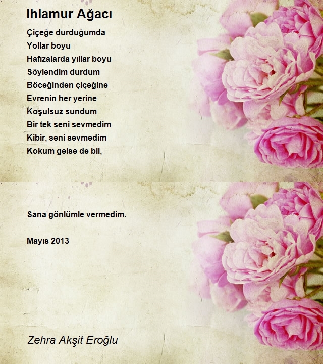 Zehra Akşit Eroğlu