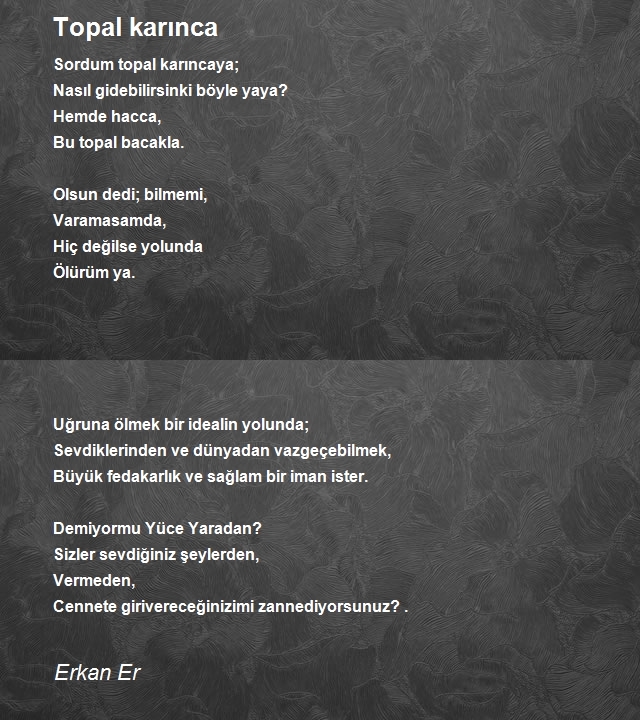 Erkan Er