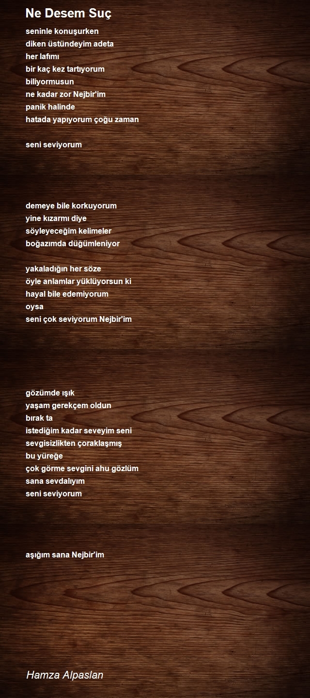 Hamza Alpaslan