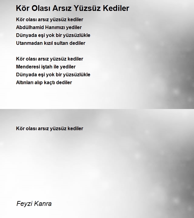 Feyzi Kanra