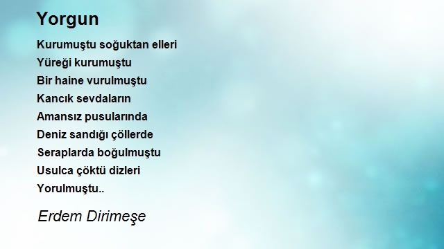 Erdem Dirimeşe
