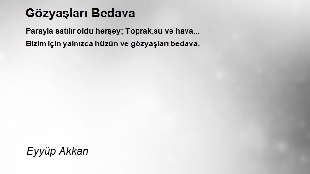 Eyyüp Akkan