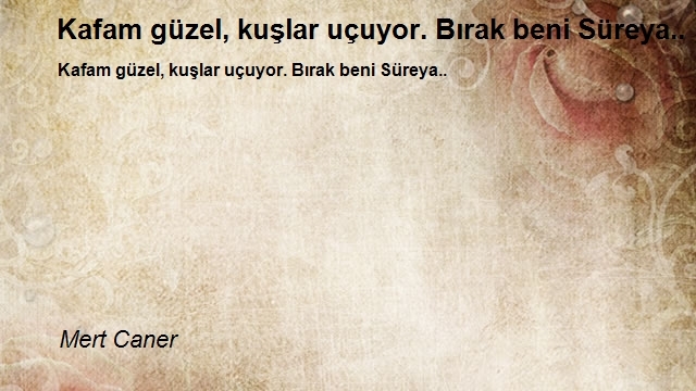 Mert Caner