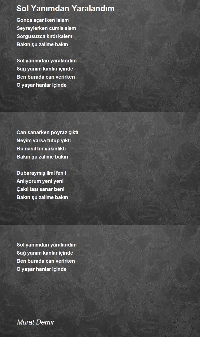 Murat Demir