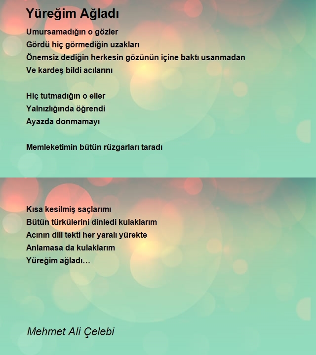 Mehmet Ali Çelebi
