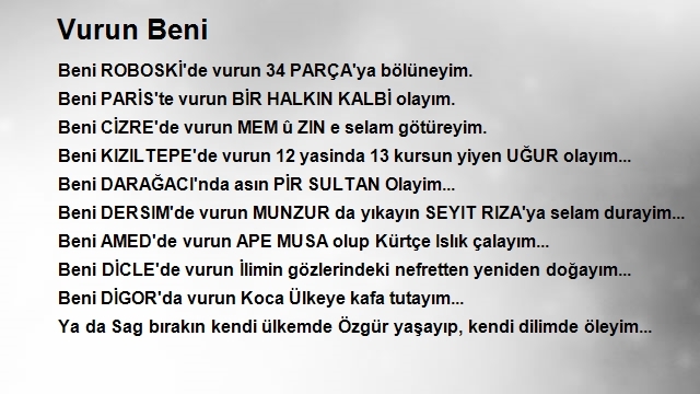 Mehmet Ali Çelebi