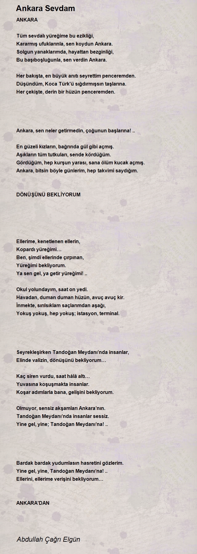 Abdullah Çağrı Elgün