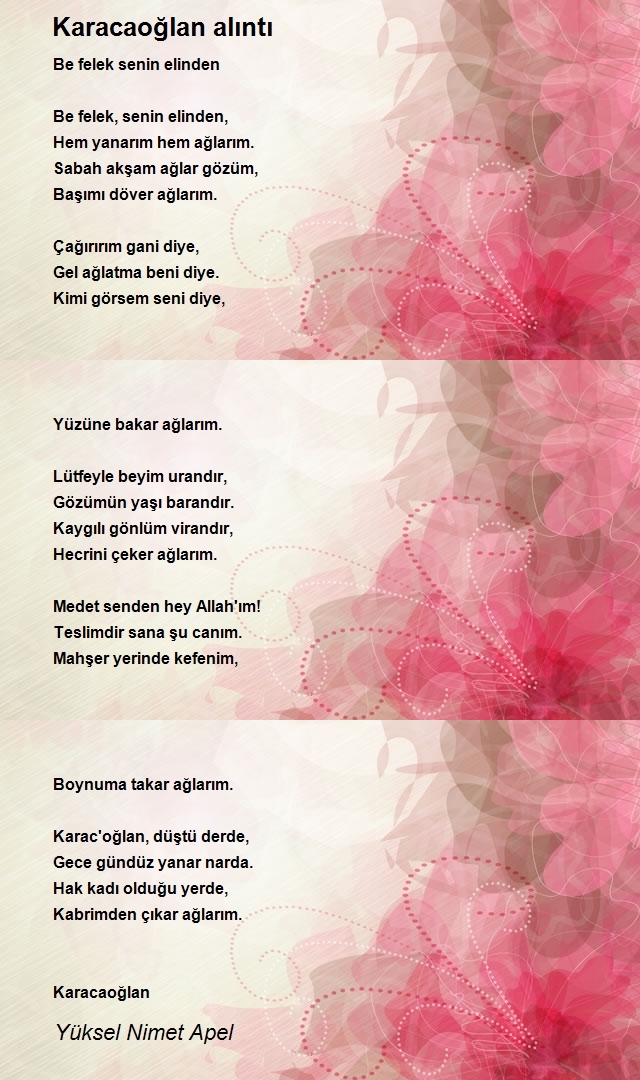 Yüksel Nimet Apel