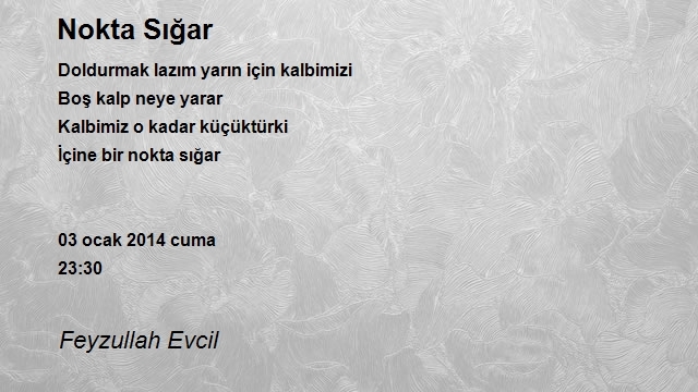 Feyzullah Evcil