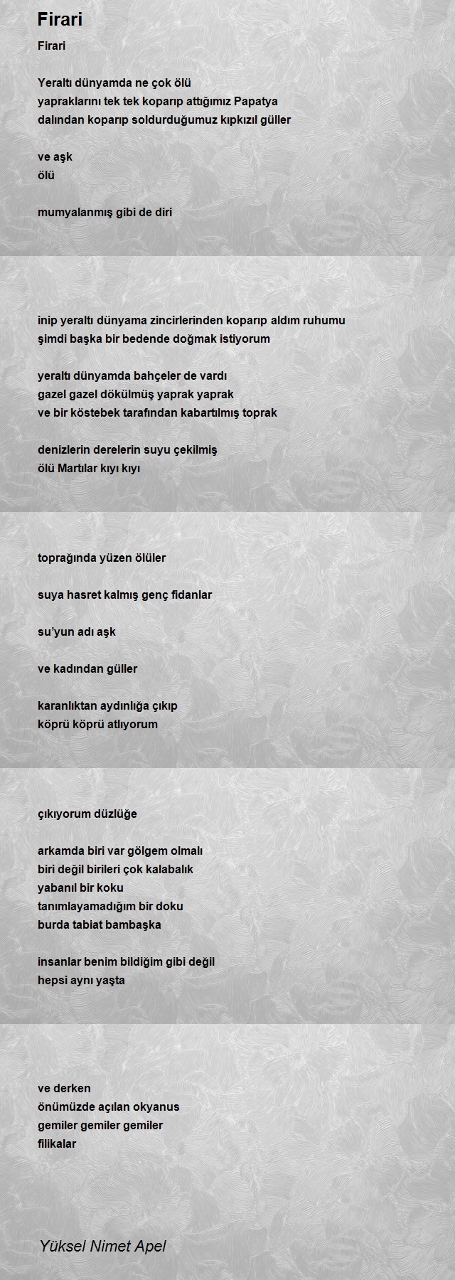 Yüksel Nimet Apel