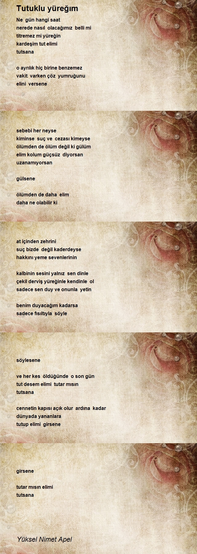 Yüksel Nimet Apel