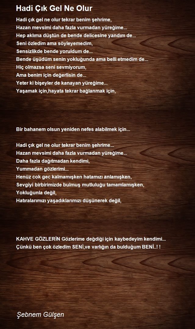 Şebnem Gülşen