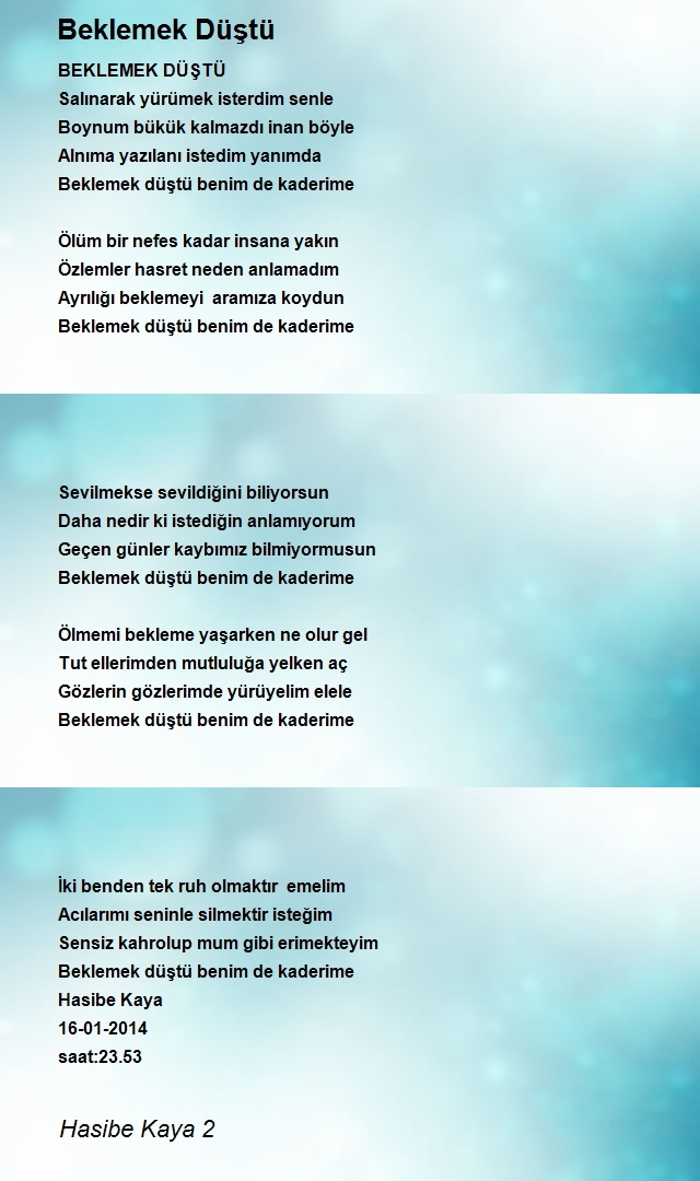 Hasibe Kaya 2
