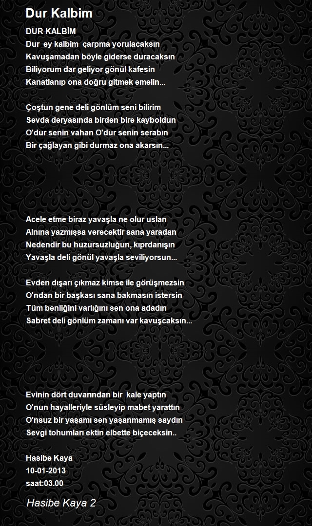 Hasibe Kaya 2