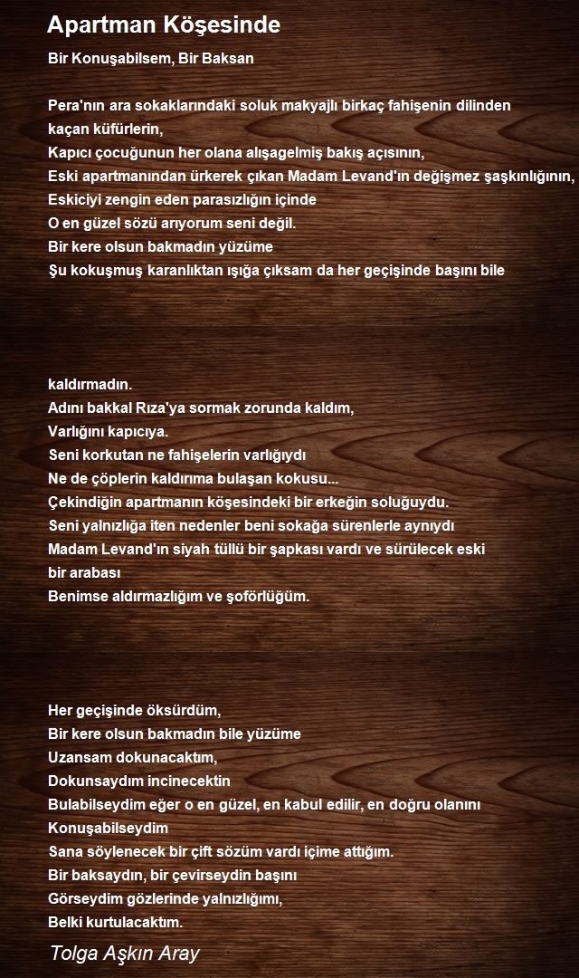Tolga Aşkın Aray