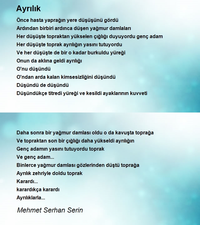 Mehmet Serhan Serin