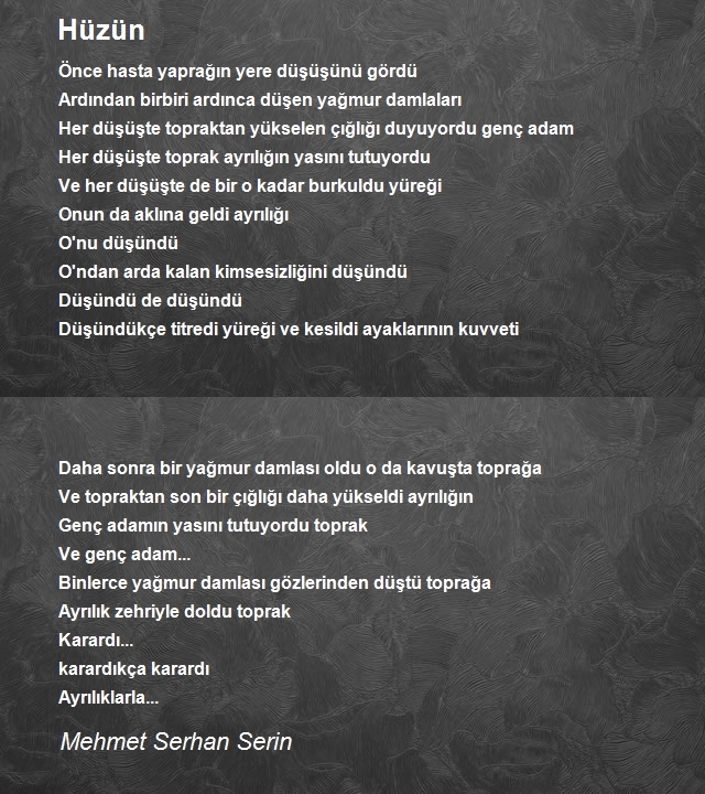 Mehmet Serhan Serin