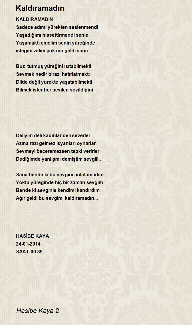 Hasibe Kaya 2