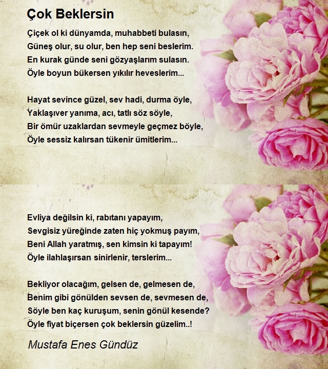 Mustafa Enes Gündüz