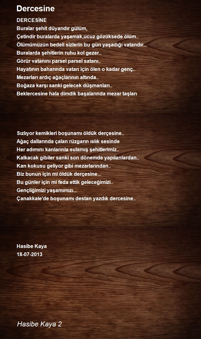 Hasibe Kaya 2