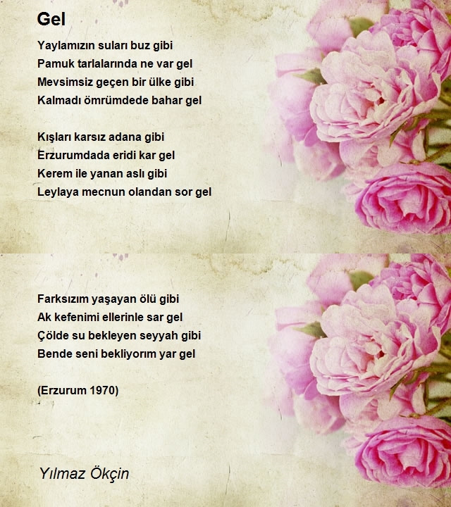 Yılmaz Ökçin
