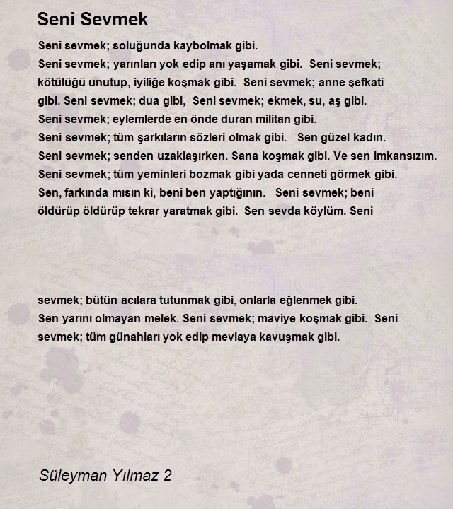 Süleyman Yılmaz 2