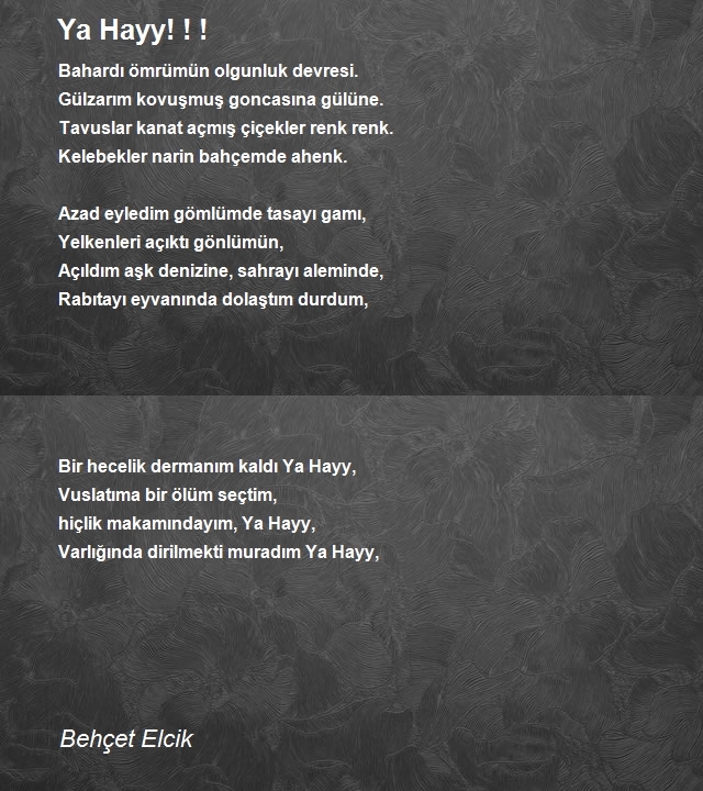 Behçet Elcik